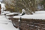 31 Fort Hill-12-17-2020-Snowstorm--0195-DDeRosaPhoto