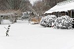31 Fort Hill-12-17-2020-Snowstorm--0203-DDeRosaPhoto