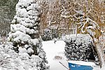 31 Fort Hill-12-17-2020-Snowstorm--0207-DDeRosaPhoto