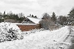 31 Fort Hill-12-17-2020-Snowstorm--0212-DDeRosaPhoto