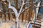 31 Fort Hill-12-17-2020-Snowstorm--0324-DDeRosaPhoto