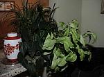 IPE-178_Massapequa-144-DDeRosaPhoto.JPG