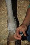 KAM-3410-2-9-11-SanDiego-DDeRosaPhoto.JPG