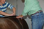 KAM-3446-2-9-11-SanDiego-DDeRosaPhoto.JPG