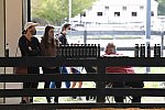 MUSTANG-10-11-21-5465-DDeRosaPhoto