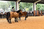 MUSTANG-10-11-21-5467-DDeRosaPhoto
