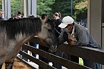 MUSTANG-10-11-21-5515-DDeRosaPhoto