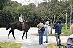 MUSTANG-10-11-21-5548-DDeRosaPhoto