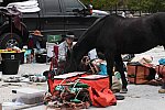 MUSTANG-10-11-21-5553-DDeRosaPhoto