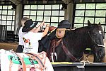 MUSTANG-10-12-21-5609-DDeRosaPhoto