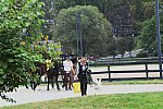 MUSTANG-10-12-21-5619-DDeRosaPhoto
