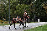 MUSTANG-10-12-21-5639-DDeRosaPhoto