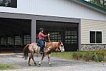 MUSTANG-10-12-21-5641-DDeRosaPhoto