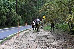 MUSTANG-10-12-21-5659-DDeRosaPhoto