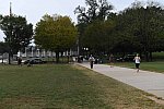 MUSTANG-10-12-21-5671-DDeRosaPhoto