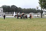 MUSTANG-10-12-21-5682-DDeRosaPhoto