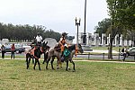 MUSTANG-10-12-21-5687-DDeRosaPhoto