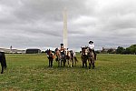 MUSTANG-10-12-21-5701-DDeRosaPhoto