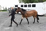 MUSTANG-10-13-21-5728-DDeRosaPhoto