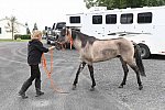 MUSTANG-10-13-21-5743-DDeRosaPhoto