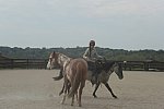 MUSTANG-HANNAH DEMO-10-15-21-2977-DDeRosaPhoto