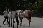 MUSTANG-HANNAH DEMO-10-15-21-2986-DDeRosaPhoto