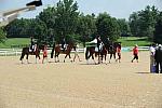 NAJYRC-7-27-11-1304-DDeRosaPhoto.JPG