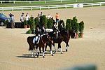 NAJYRC-7-27-11-1434-DDeRosaPhoto.JPG