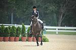 Dressage Freestyle