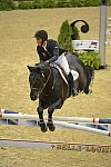 NHS-11-3-12-5945-NicholasDelloJoio-Zorro-DDeRosaPhoto