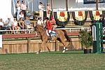 1274-MargieEngle-HCWapino-NHS-12-3-06-&copy;DeRosaPhoto.jpg