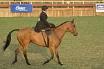 623-StephanieHayes-ZeigfeldFollies-12-2-06-&copy;DeRosaPhoto.jpg