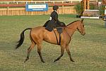624-StephanieHayes-ZeigfeldFollies-12-2-06-&copy;DeRosaPhoto.jpg
