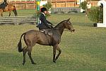 630-NHS-12-2-06-&copy;DeRosaPhoto.jpg