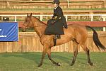 633-StephanieHayes-ZeigfeldFollies-12-2-06-&copy;DeRosaPhoto.jpg