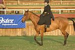 634-StephanieHayes-ZeigfeldFollies-12-2-06-&copy;DeRosaPhoto.jpg