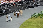 Olympics-OPCeremony-7-27-12-0857-DDeRosaPhoto