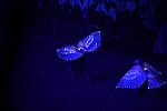 Olympics-OPCeremony-7-27-12-1669-DDeRosaPhoto