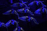 Olympics-OPCeremony-7-27-12-1683-DDeRosaPhoto