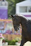 Olympics-DRE-GP2-8-2-12-0773-MikaelaLindh-MasGuapo-FIN-DDeRosaPhoto
