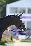 Olympics-DRE-GP2-8-2-12-0849-MikaelaLindh-MasGuapo-FIN-DDeRosaPhoto
