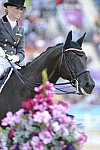 Olympics-DRE-GP2-8-2-12-1002-MorganBrabanconMestres-PaintedBlack-ESP-DDeRosaPhoto