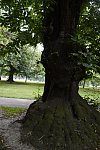 Olympics-7-27-12-0842-DDeRosaPhoto