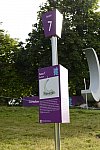 Olympics-7-29-12-3912-DDeRosaPhoto