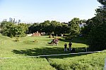Olympics-EV-XC-7-30-12-3961-DDeRosaPhoto