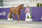 Olympics-EVJg-7-27-12-0433-SandraAuffarth-OpgunLouvo-GER-DDeRosaPhoto
