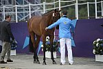 Olympics-EVJg-7-27-12-0445-DirkSchrade-KingArtus-GER-DDeRosaPhoto