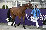 Olympics-EVJg-7-27-12-0447-DirkSchrade-KingArtus-GER-DDeRosaPhoto