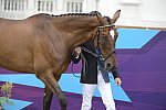 Olympics-EVJg-7-27-12-0456-LionelGuyon-NemetisDeLalou-FRA-DDeRosaPhoto