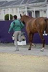 Olympics-EVJg-7-27-12-0468-JosephMurphy-ElectriCruise-IRL-DDeRosaPhoto